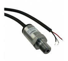 P51-1000-S-A-I36-4.5V-000-000-kuva